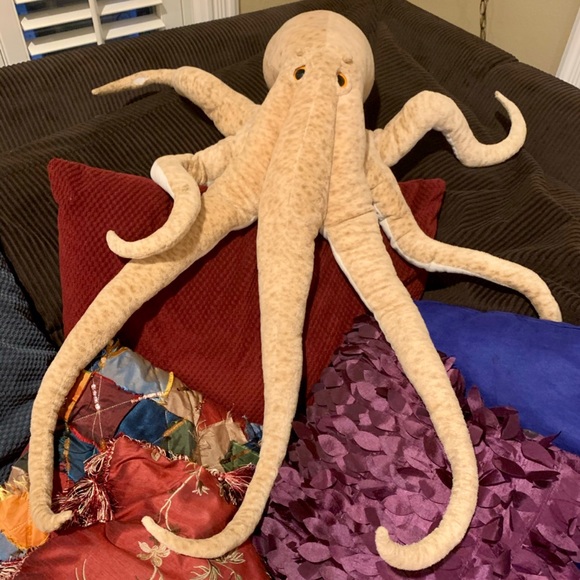 Huge stuffy octopus from Scripps aquarium